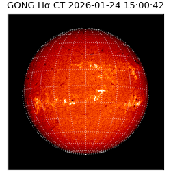 gong - 2026-01-24T15:00:42