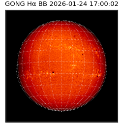 gong - 2026-01-24T17:00:02