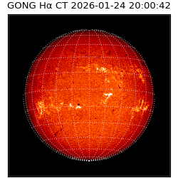 gong - 2026-01-24T20:00:42