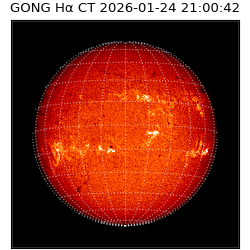 gong - 2026-01-24T21:00:42