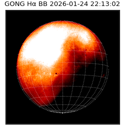 gong - 2026-01-24T22:13:02