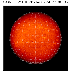 gong - 2026-01-24T23:00:02