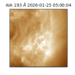 saia - 2026-01-25T05:00:04.843000