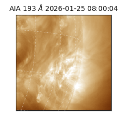 saia - 2026-01-25T08:00:04.843000