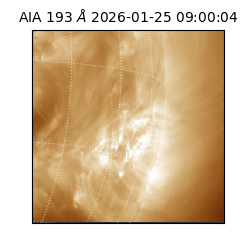 saia - 2026-01-25T09:00:04.843000