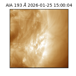 saia - 2026-01-25T15:00:04.843000