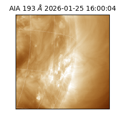 saia - 2026-01-25T16:00:04.842000