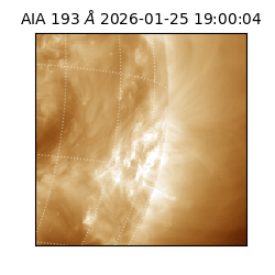 saia - 2026-01-25T19:00:04.846000