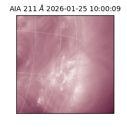 saia - 2026-01-25T10:00:09.631000