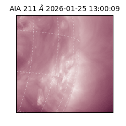 saia - 2026-01-25T13:00:09.633000