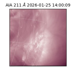 saia - 2026-01-25T14:00:09.632000