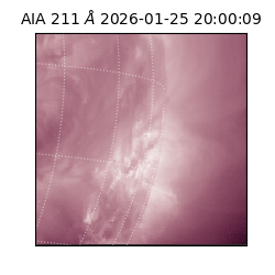 saia - 2026-01-25T20:00:09.632000