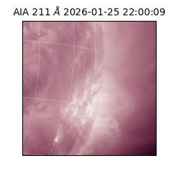 saia - 2026-01-25T22:00:09.631000