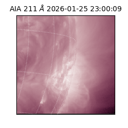 saia - 2026-01-25T23:00:09.632000