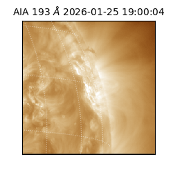 saia - 2026-01-25T19:00:04.846000