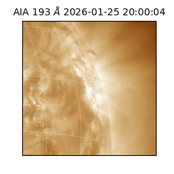 saia - 2026-01-25T20:00:04.846000