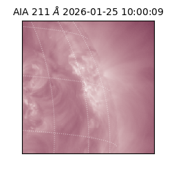 saia - 2026-01-25T10:00:09.631000