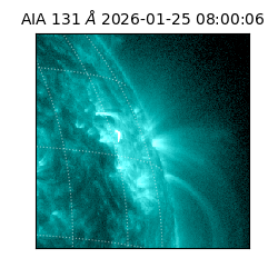 saia - 2026-01-25T08:00:06.622000