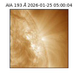 saia - 2026-01-25T05:00:04.843000