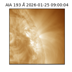 saia - 2026-01-25T09:00:04.843000