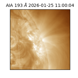 saia - 2026-01-25T11:00:04.842000