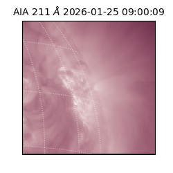 saia - 2026-01-25T09:00:09.632000