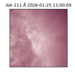 saia - 2026-01-25T11:00:09.631000