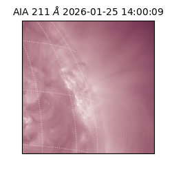 saia - 2026-01-25T14:00:09.632000