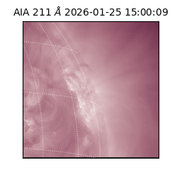 saia - 2026-01-25T15:00:09.623000