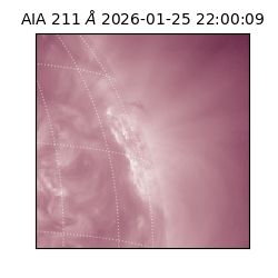 saia - 2026-01-25T22:00:09.631000