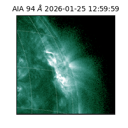 saia - 2026-01-25T12:59:59.130000