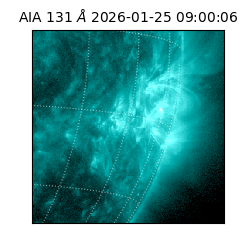 saia - 2026-01-25T09:00:06.622000