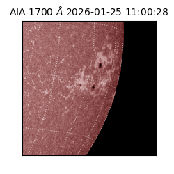 saia - 2026-01-25T11:00:28.718000