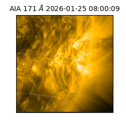 saia - 2026-01-25T08:00:09.351000