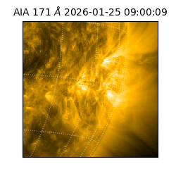 saia - 2026-01-25T09:00:09.352000