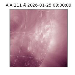 saia - 2026-01-25T09:00:09.632000