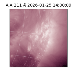 saia - 2026-01-25T14:00:09.632000