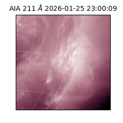 saia - 2026-01-25T23:00:09.632000