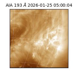 saia - 2026-01-25T05:00:04.843000