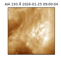 saia - 2026-01-25T09:00:04.843000