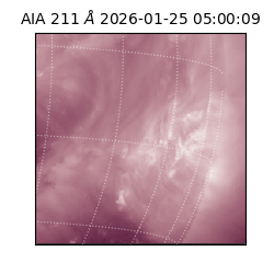 saia - 2026-01-25T05:00:09.626000