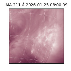 saia - 2026-01-25T08:00:09.625000