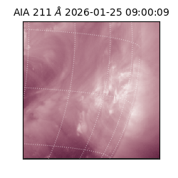 saia - 2026-01-25T09:00:09.632000