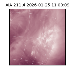 saia - 2026-01-25T11:00:09.631000