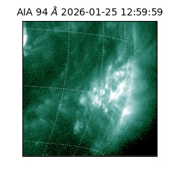 saia - 2026-01-25T12:59:59.130000