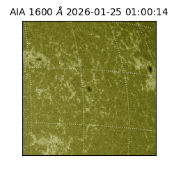 saia - 2026-01-25T01:00:14.126000