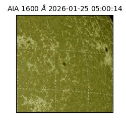 saia - 2026-01-25T05:00:14.132000