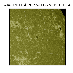 saia - 2026-01-25T09:00:14.126000