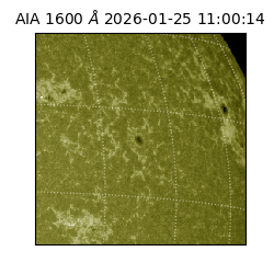 saia - 2026-01-25T11:00:14.129000