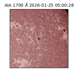 saia - 2026-01-25T05:00:28.717000